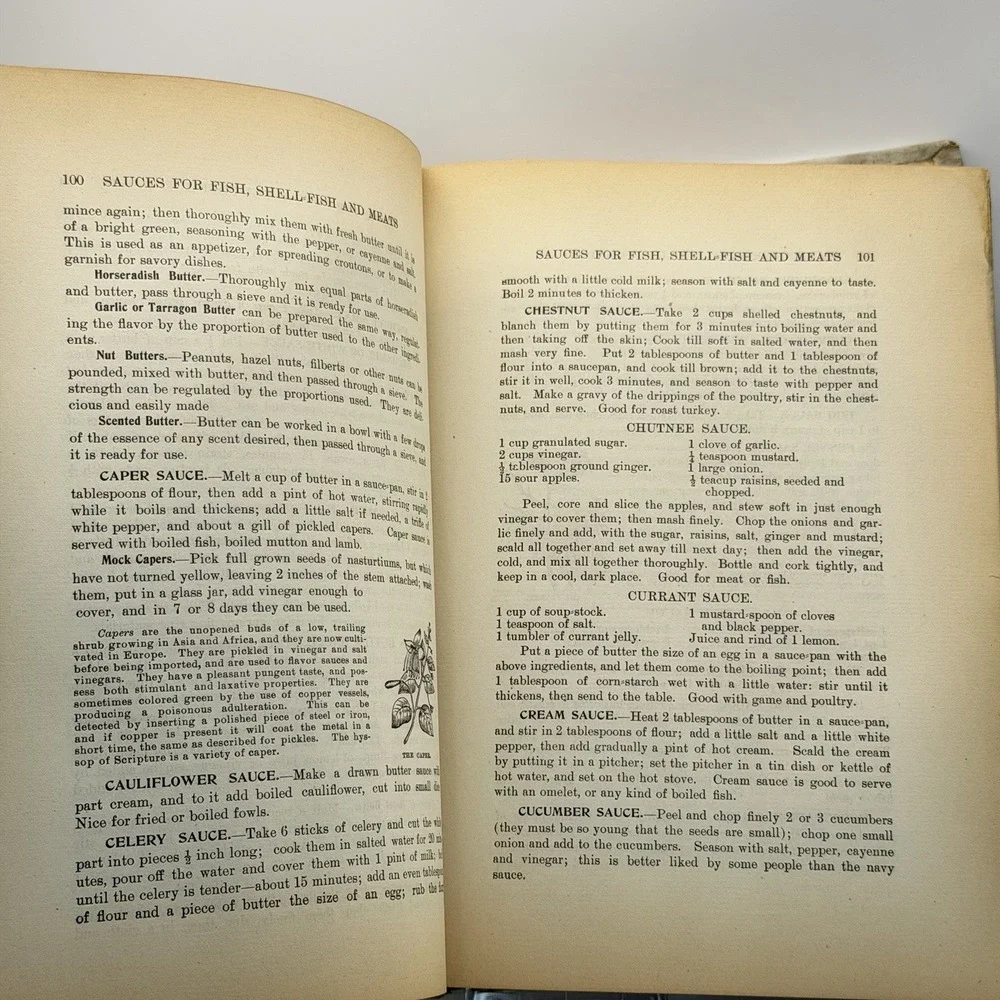 Antique 1900 Cookbook Twentieth Century Cook Book And Practical Housekeeping‎ HC